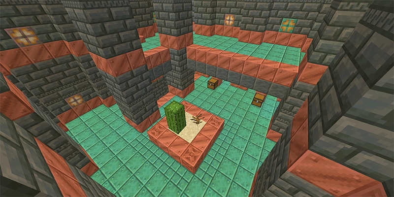 サボテンが生えている、トライアルチャンバーの玄関。