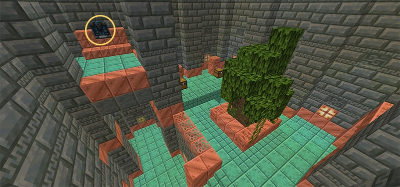 ジャングルの木が生えている玄関の宝物庫。