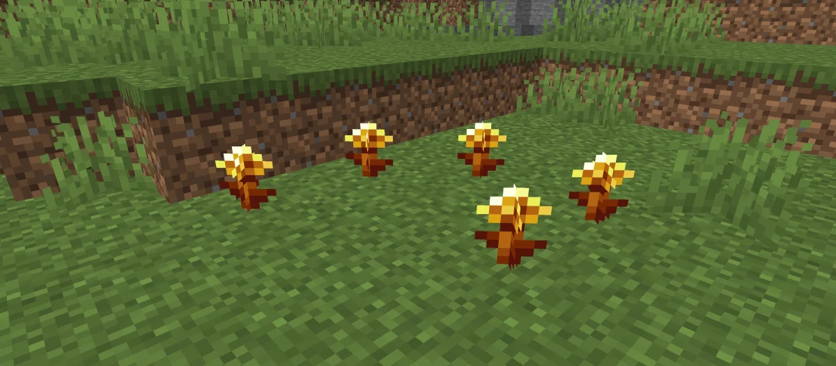 地面に植えられた金のタンポポ